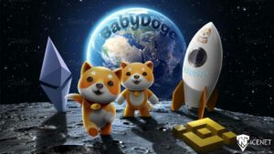 ایردراپ بیبی دوج چیست؟ همه چیز درباره ایردراپ Baby Doge