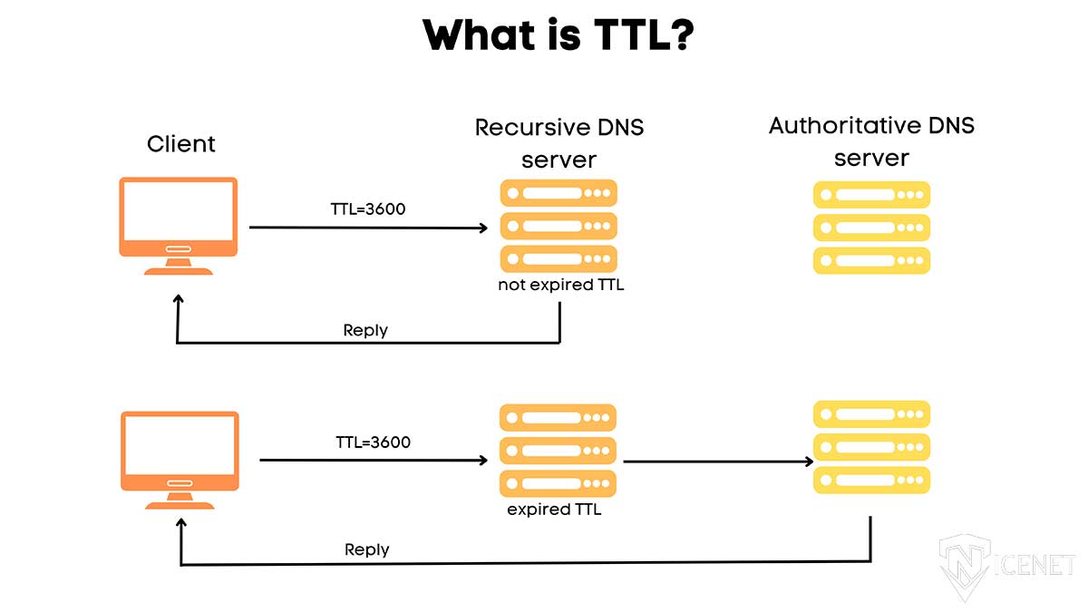 تنظیم TTL در سیستم‌عامل ها و روترها